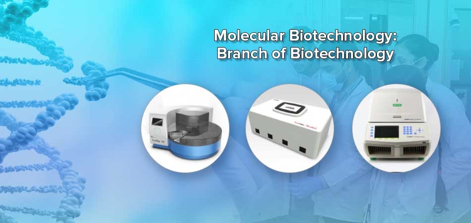  Molecular Biotechnology: Branch of Biotechnology 