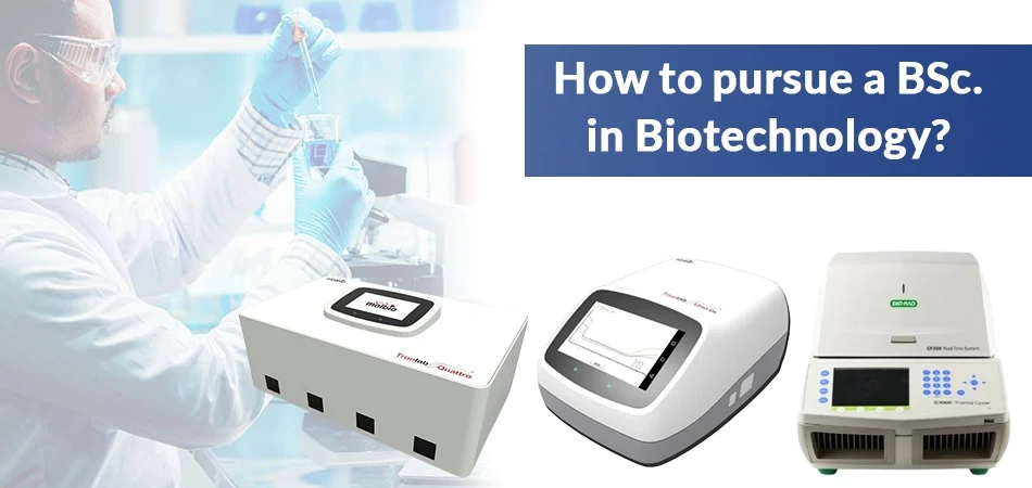  How to Pursue a B.Sc. In Biotechnology? 