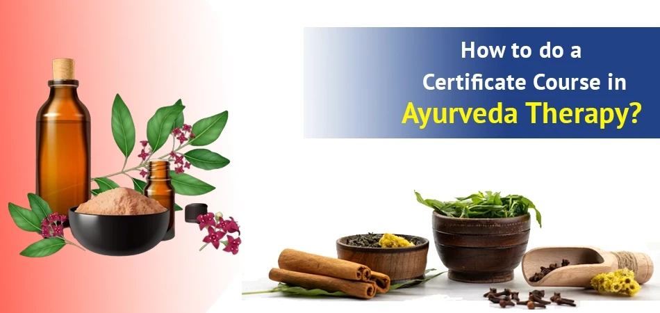  How to do a Certificate Course in Ayurveda Therapy? 