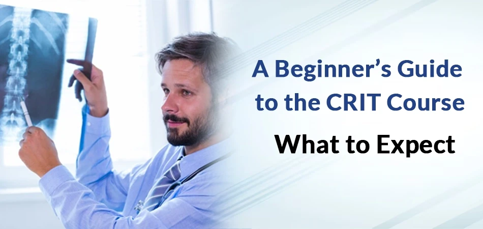  A Beginner’s Guide to the CRIT Course: What to Expect 