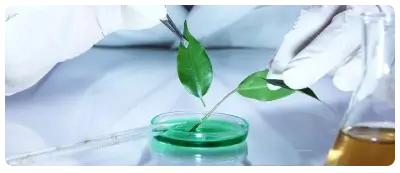 BSc in Biotechnology Course in Delhi, India | Fees, Scope, Eligibility